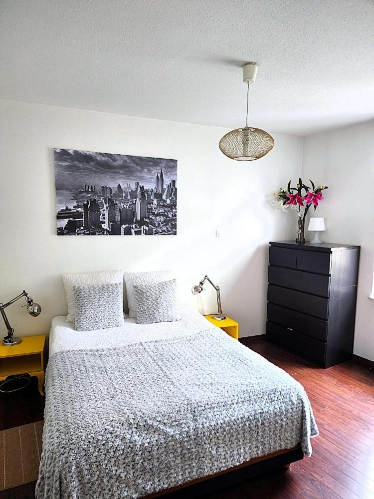 Appartement 3 Pieces, Krutenau, Parking Prive Strasbourg Kültér fotó