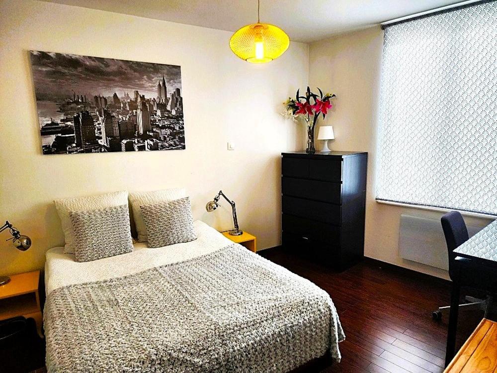 Appartement 3 Pieces, Krutenau, Parking Prive Strasbourg Kültér fotó
