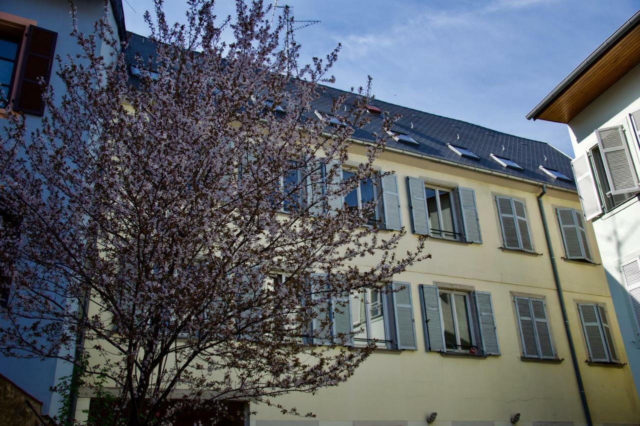 Appartement 3 Pieces, Krutenau, Parking Prive Strasbourg Kültér fotó