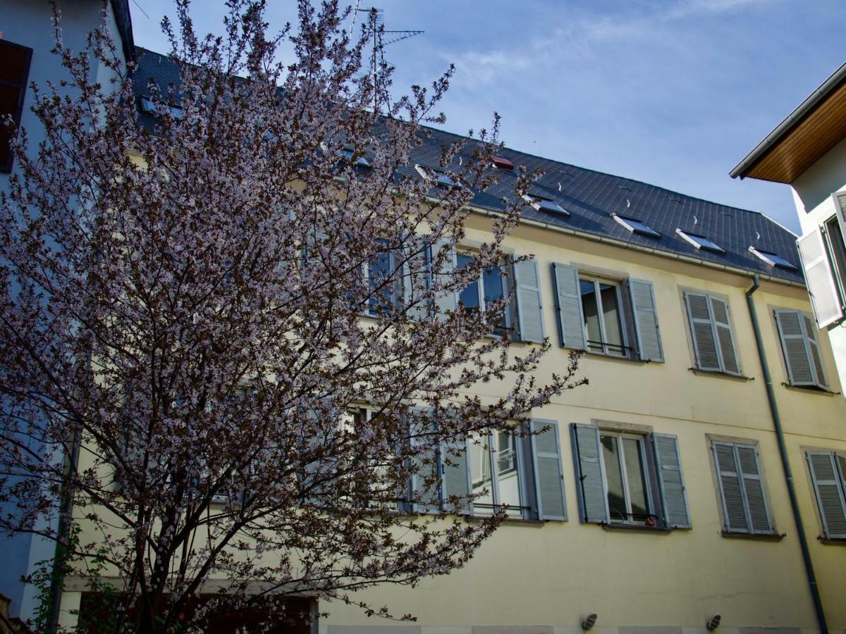 Appartement 3 Pieces, Krutenau, Parking Prive Strasbourg Kültér fotó